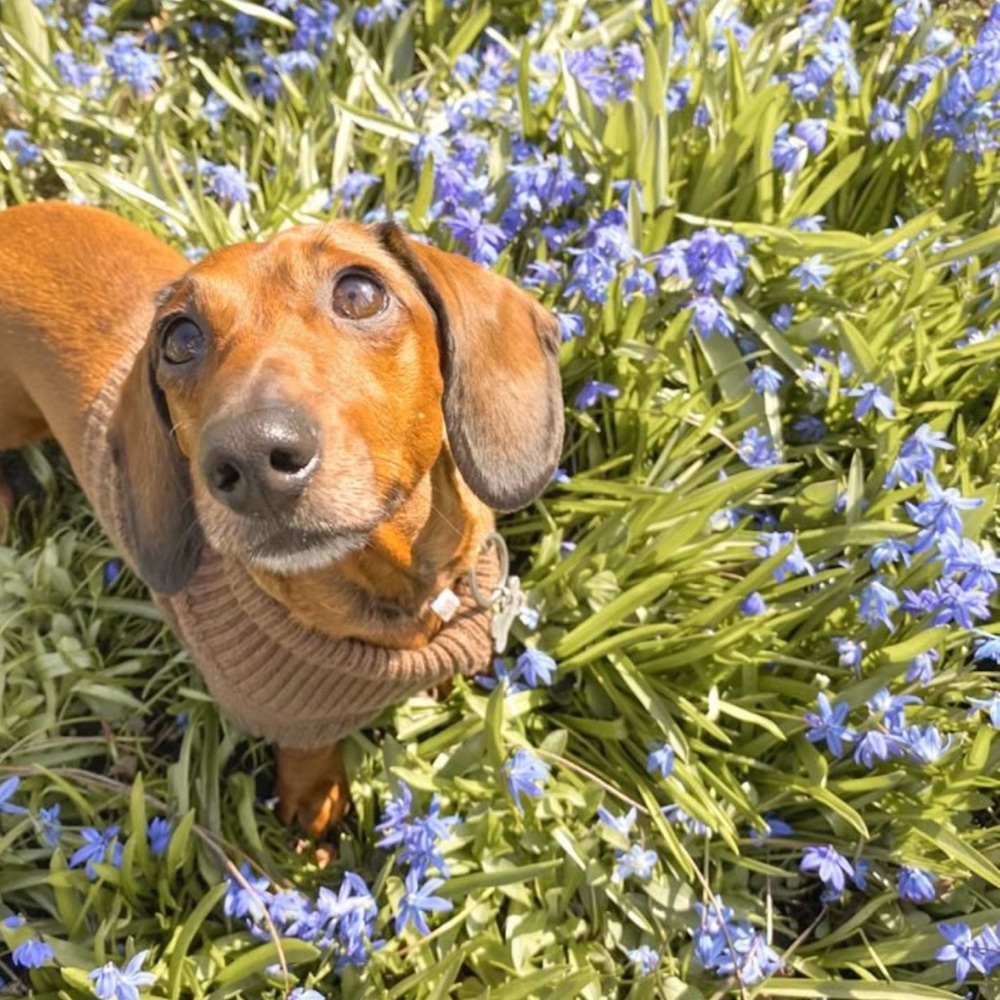 HAPPY SPRING!🌷🌷🌷🌷🌷🌷🌷🌷🌷🌷🌷🌷🌷🌷🌷🌷🌷🌷🌷🌷🌷🌷🌷🌷🌷🌷🌷🌷